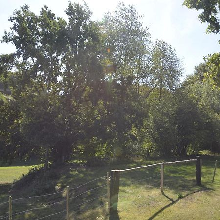 Alte Schule 3, Urlaub Wo Einst Die Dorfschule War Kall Esterno foto